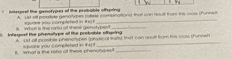 Interpret the genotypes of the probable offspring: 
A. List all possible genotypes (allele combinations) that can result from this cross (Punnett 
square you completed in #6)3 
_ 
B. What is the ratio of these genotypes?_ 
8. Interpret the phenotype of the probable offspring 
A. List all possible phenotypes (physical traits) that can result from this cross (Punnett 
square you completed in #6)? 
_ 
8. What is the ratio of these phenotypes?_