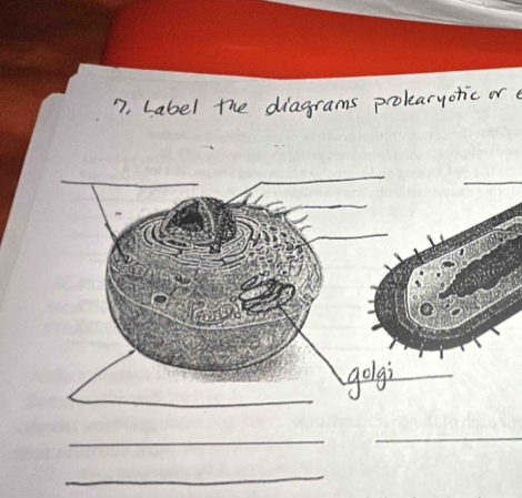 Label the diagrams prolearyotic or 
_ 
_ 
_