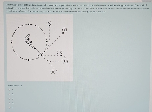 Una bola de acero está atada a una cuerda y sigue una trayectoría circular en un plano horizontal corno se muestra en la figura adjunta. En el punto P
indicado en la figura, la cuerda se rompe de repente en un punto muy cercano a la bola. 5i estos hechos se observan directamente desde arriba, como
se indica en la fgura. ¿Qué camino seguira de forma más aproximada la bola tras la ruptura de la cuerda?
Seleccione una
A
B
C
D
E