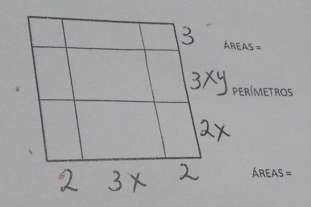 3 AREAS=
3xy PERIMETROS
2x
2 3x 2
AREAS=