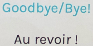 Goodbye/Bye! 
Au revoir !