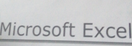 Microsoft Excel