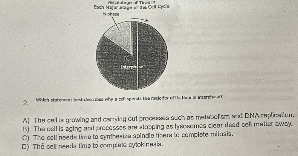 Percentage of Time in
Each Major Stage of the Cell Cycle
M phase
Interphase
2. Which statement best describes why a cell spends the majority of its time in interphase?
A) The cell is growing and carrying out processes such as metabolism and DNA replication.
B) The cell is aging and processes are stopping as lysosomes clear dead cell matter away.
C) The cell needs time to synthesize spindle fibers to complete mitosis.
D) The cell needs time to complete cytokinesis.