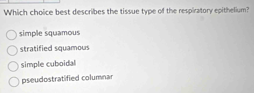 Which choice best describes the tissue type of the respiratory epithelium?
simple squamous
stratified squamous
simple cuboidal
pseudostratified columnar