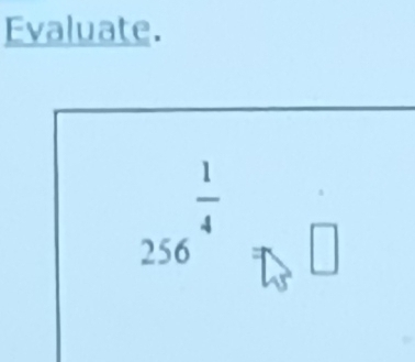 Evaluate.
 1/4 
256 □