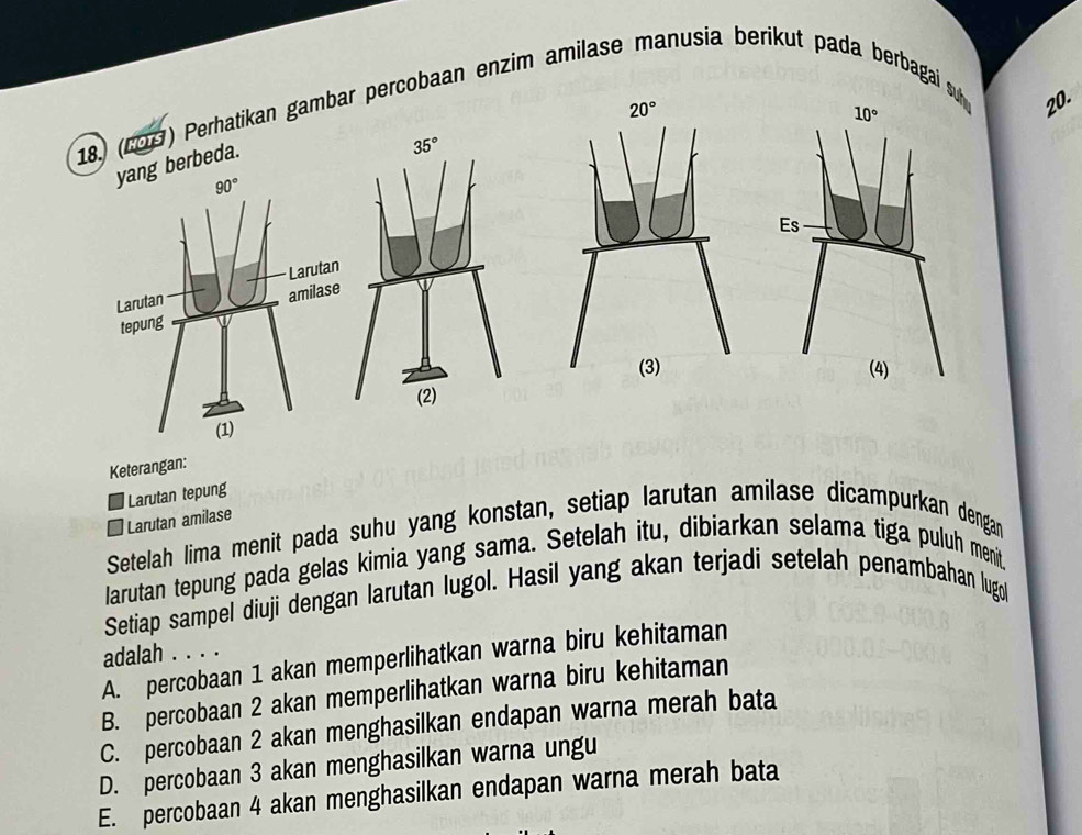 (199) Perhatikan gambar percobaan enzim amilase anusia berikut pada berbagai s20.
g berbeda.
Keterangan:
Larutan tepung
Setelah lima menit pada suhu yang konstan, setiap larutan amilase dicampurkan dengan  Larutan amilase
larutan tepung pada gelas kimia yang sama. Setelah itu, dibiarkan selama tiga puluh menit
Setiap sampel diuji dengan larutan lugol. Hasil yang akan terjadi setelah penambahan lugol
adalah . . . .
A. percobaan 1 akan memperlihatkan warna biru kehitaman
B. percobaan 2 akan memperlihatkan warna biru kehitaman
C. percobaan 2 akan menghasilkan endapan warna merah bata
D. percobaan 3 akan menghasilkan warna ungu
E. percobaan 4 akan menghasilkan endapan warna merah bata