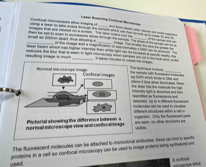 Confocal microscopes allow imaging of 
Laser Scanning Confocal Microscopy and fixed (dead) cells, tissues and small organisms 
using a laser to take scans through the sample which can then be built up to create 20 and 30
images that are viewed on a screen. The laser scans over the of the sample and can 
then be set to scan in successive slices through the sample. The slices of the sample can be as 
_small as 200nm apart, thus allowing a_ image. The smaller the slice the greater the 
of the image and a magnification of approximately x 2000 can be achieved. The 
laser beam which has higher intensity than white light can be focussed at specific depths, this 
reduces the blur that is seen in light microscopy when samples are not in the focal point, so the 
resulting image is much_ It takes minutes to create the images. 
The technique involves 
the sample with fluorescent molecules 
eg DAPI which binds to DNA and 
stains it blue when illuminated. When 
the laser hits the molecule the high 
intensity light is absorbed and then 
reemitted as fluorescence and 
detected. Up to 4 different fluorescent 
molecules can be used to visualise 
different structures within a cell or 
Pictorial showing the difference between a organism. Only the fluorescent parts 
normal microscope view and confocal image are seen, no other structures are 
visible. 
The fluorescent molecules can be attached to monoclonal antibodies, these can bind to specific 
proteins in a cell so confocal microscopy can be used to image proteins being synthesized and 
A confocal 
used. 
microscope setup