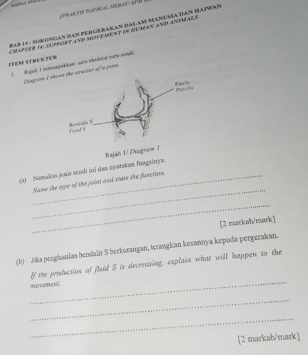 PRAKTIS TOPIKAL HEBAT! SPM 
BAß 14 : SOKONGAN DAN PERGERAKAN DALAM MANUSIA DAN HAIWAN 
ChAPTER 14; Support And movêmenT in human and Animals 
ITEM STRUKTUR 
1. Rajah 1 menunjukkan satu struktur satu sendi. 
Diagram 1 shothe structur of a joint. 
Rajah 1/ Diagram 
(a) Namakan jenis sendi ini dan nyatakan fungsinya. 
_ 
_Name the type of the joint and state the function. 
_ 
[2 markah/mark] 
(b) Jika penghasilan bendalir S berkurangan, terangkan kesannya kepada pergerakan. 
_ 
If the production of fluid S is decreasing, explain what will happen to the 
movement. 
_ 
_ 
[2 markah/mark]