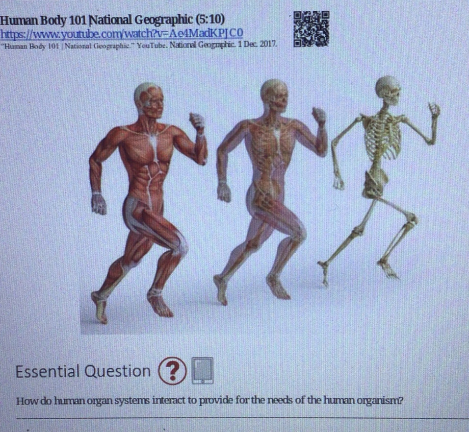 Solved: Human Body 101 National Geographic (5:10) https://www.youtube ...