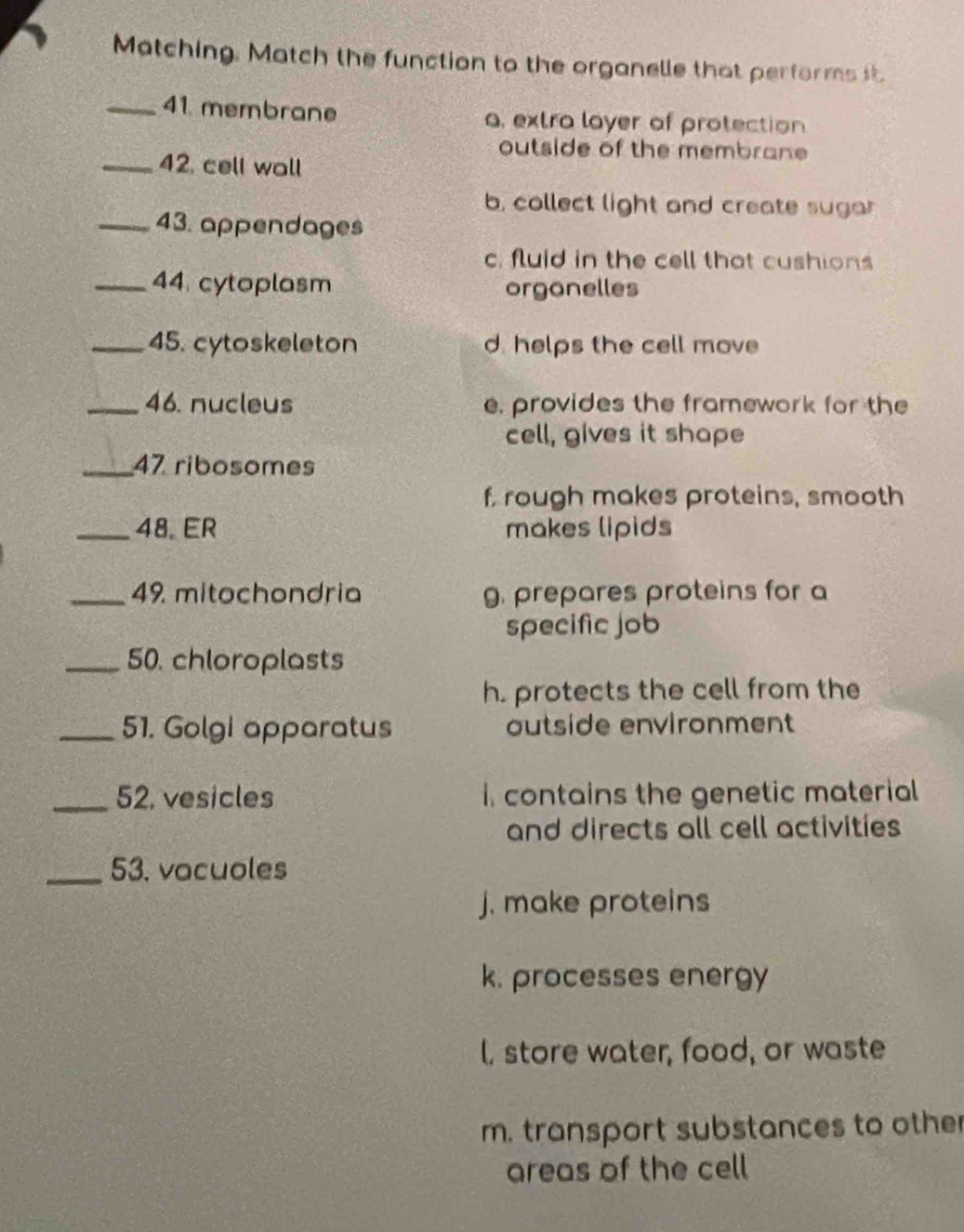 Matching. Match the function to the organelle that performs 
_41. membrane a, extra layer of protection
outside of the membrane
_42. cell wall
b, collect light and create sugan
_43. appendages
c. fluid in the cell that cushions
_44 cytoplasm organelles
_45. cytoskeleton d helps the cell move
_46. nucleus e, provides the framework for the
cell, gives it shape
_47 ribosomes
f, rough makes proteins, smooth
_48. ER makes lipids
_49 mitochondria g. prepares proteins for a
specific job
_50. chloroplasts
h. protects the cell from the
_51. Golgi apparatus outside environment
_52, vesicles i contains the genetic material
and directs all cell activities
_53. vocuoles
j. make proteins
k. processes energy
l, store water, food, or waste
m. transport substances to other
areas of the cell