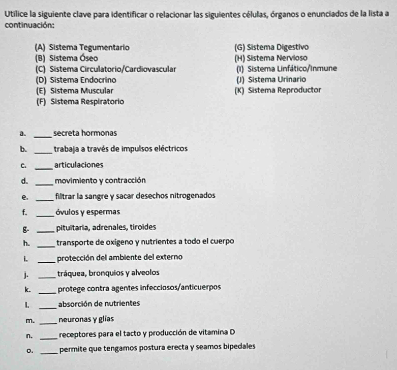 Utilice la siguiente clave para identificar o relacionar las siguientes células, órganos o enunciados de la lista a 
continuación: 
(A) Sistema Tegumentario (G) Sistema Digestivo 
(B) Sistema Óseo (H) Sistema Nervioso 
(C) Sistema Circulatorio/Cardiovascular (1) Sistema Linfático/Inmune 
(D) Sistema Endocrino (J) Sistema Urinario 
(E) Sistema Muscular (K) Sistema Reproductor 
(F) Sistema Respiratorio 
a. _secreta hormonas 
b. _trabaja a través de impulsos eléctricos 
C. _articulaciones 
d. _movimiento y contracción 
e. _filtrar la sangre y sacar desechos nitrogenados 
f. _óvulos y espermas 
g _pituitaria, adrenales, tiroides 
h. _transporte de oxígeno y nutrientes a todo el cuerpo 
i. _protección del ambiente del externo 
j. _tráquea, bronquios y alveolos 
k. _protege contra agentes infecciosos/anticuerpos 
1. _absorción de nutrientes 
m. _neuronas y glías 
n. _receptores para el tacto y producción de vitamina D 
o. _permite que tengamos postura erecta y seamos bipedales