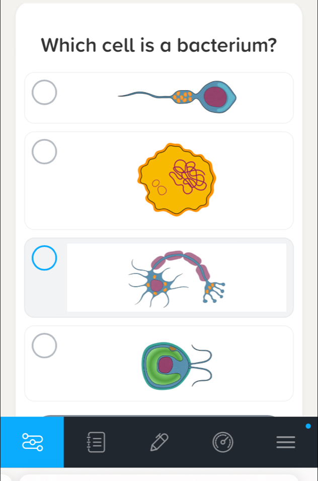 Which cell is a bacterium?