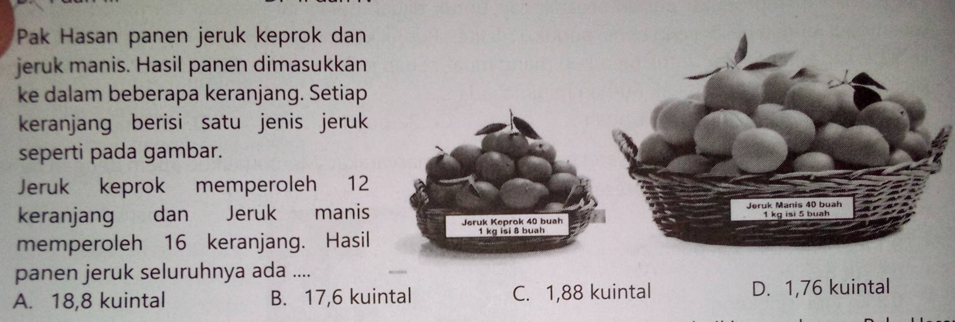 Pak Hasan panen jeruk keprok dan
jeruk manis. Hasil panen dimasukkan
ke dalam beberapa keranjang. Setiap
keranjang berisi satu jenis jeruk 
seperti pada gambar.
Jeruk keprok memperoleh 12
keranjang dan Jeruk manis 
Jeruk Keprok 40 buah
memperoleh 16 keranjang. Hasil
1 kg isi 8 buah
panen jeruk seluruhnya ada ....
A. 18,8 kuintal B. 17,6 kuintal C. 1,88 kuintal D. 1,76 kuintal