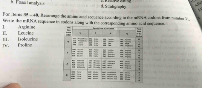 Relative dating
b. Fossil analysis d. Stratigraphy
Afte
fo
For items 35 - 40. Rearrange the amino acid sequence according to the mRNA codons from number 31. A.
Write the mRNA sequence in codons along with the corresponding amino acid sequence.
I. Arginine 
II. Leucine 
III. Isoleucine 
IV. Proline