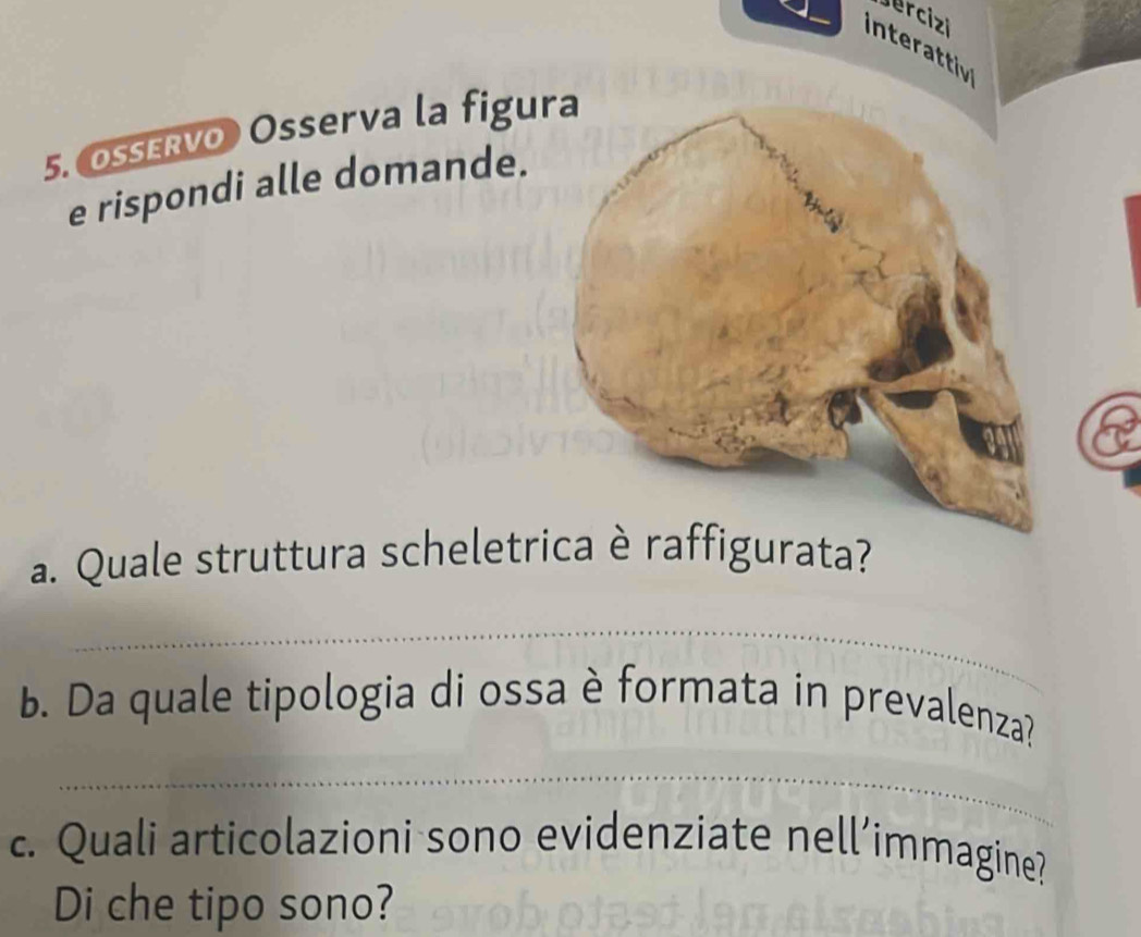 Jercizi 
interattly 
5. SERvo) Osserva la figu 
e rispondi alle domande. 
a. Quale struttura scheletrica è raffigurata? 
_ 
b. Da quale tipologia di ossa è formata in prevalenza? 
_ 
c. Quali articolazioni sono evidenziate nell’immagine? 
Di che tipo sono?