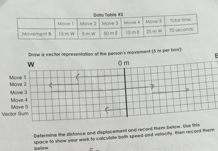 Draw a vector representation of the person's movement (5 m per box): 
E 
Mo
M
M
M
Move 5
Vecto 
Determine the distance and displacement and record them below. Use this 
space to show your work to calculate both speed and velocity, then record them 
below. 
_