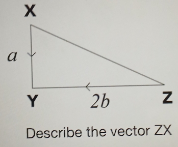 Describe the vector ZX