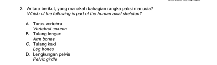 Antara berikut, yang manakah bahagian rangka paksi manusia?
Which of the following is part of the human axial skeleton?
A. Turus vertebra
Vertebral column
B. Tulang lengan
Arm bones
C. Tulang kaki
Leg bones
D. Lengkungan pelvis
Pelvic girdle