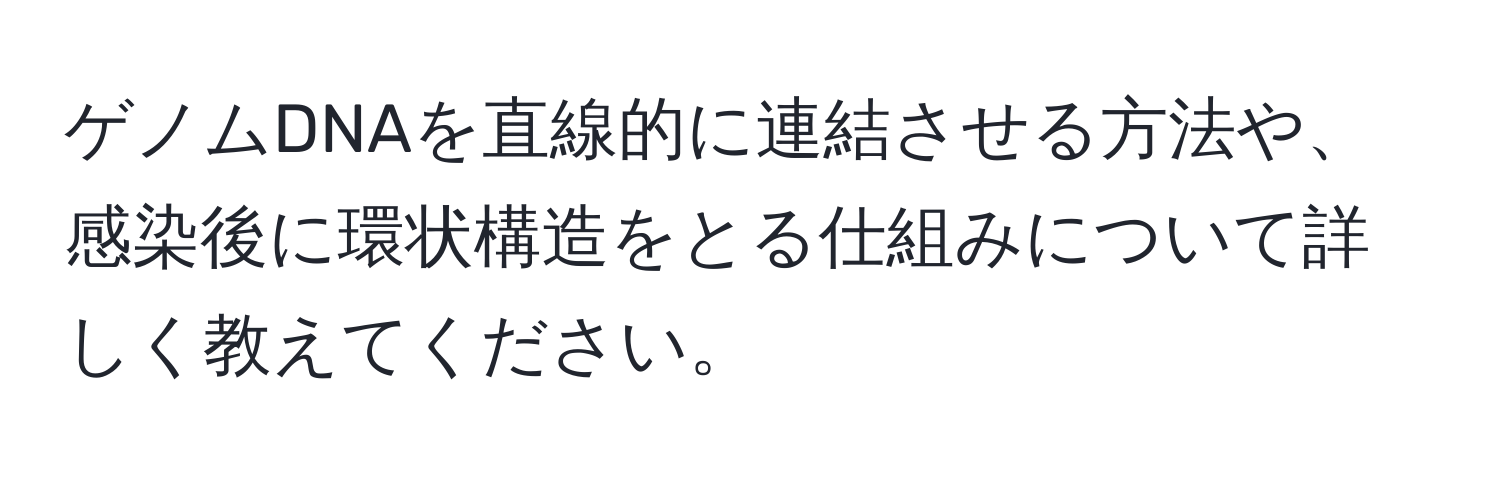 ゲノムDNAを直線的に連結させる方法や、感染後に環状構造をとる仕組みについて詳しく教えてください。