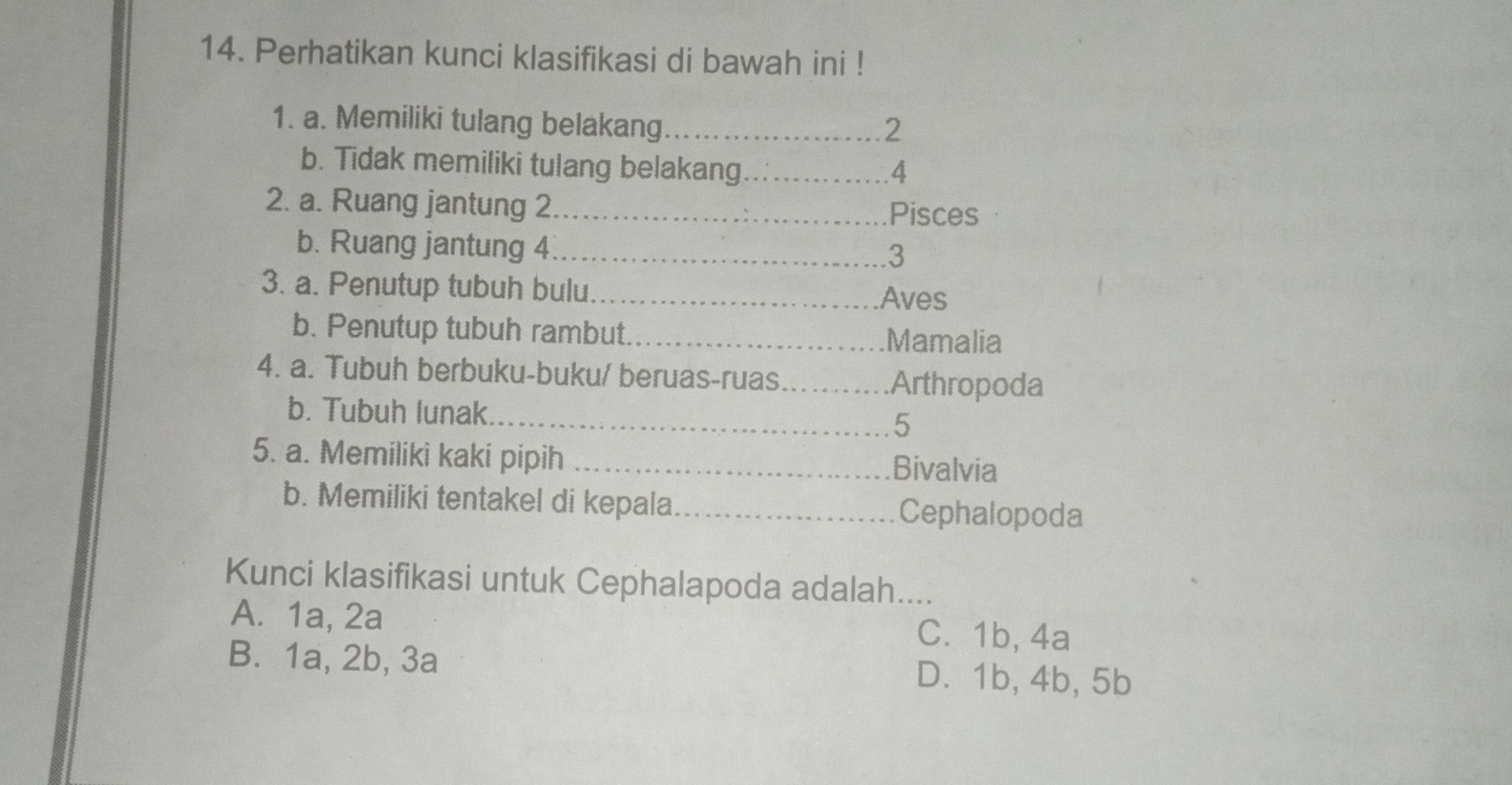 Perhatikan kunci klasifikasi di bawah ini !
1. a. Memiliki tulang belakang_
2
b. Tidak memiliki tulang belakang_ 4
2. a. Ruang jantung 2._
Pisces
b. Ruang jantung 4._
3
3. a. Penutup tubuh bulu._
Aves
b. Penutup tubuh rambut._
Mamalia
4. a. Tubuh berbuku-buku/ beruas-ruas_
Arthropoda
b. Tubuh lunak._ 5
5. a. Memiliki kaki pipih_
Bivalvia
b. Memiliki tentakel di kepala_
Cephalopoda
Kunci klasifikasi untuk Cephalapoda adalah....
A. 1a, 2a C. 1b, 4a
B. 1a, 2b, 3a D. 1b, 4b, 5b