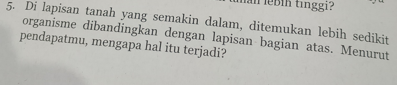 an lebin tinggi? 
5. Di lapisan tanah yang semakin dalam, ditemukan lebih sedikit 
organisme dibandingkan dengan lapisan bagian atas. Menurut 
pendapatmu, mengapa hal itu terjadi?