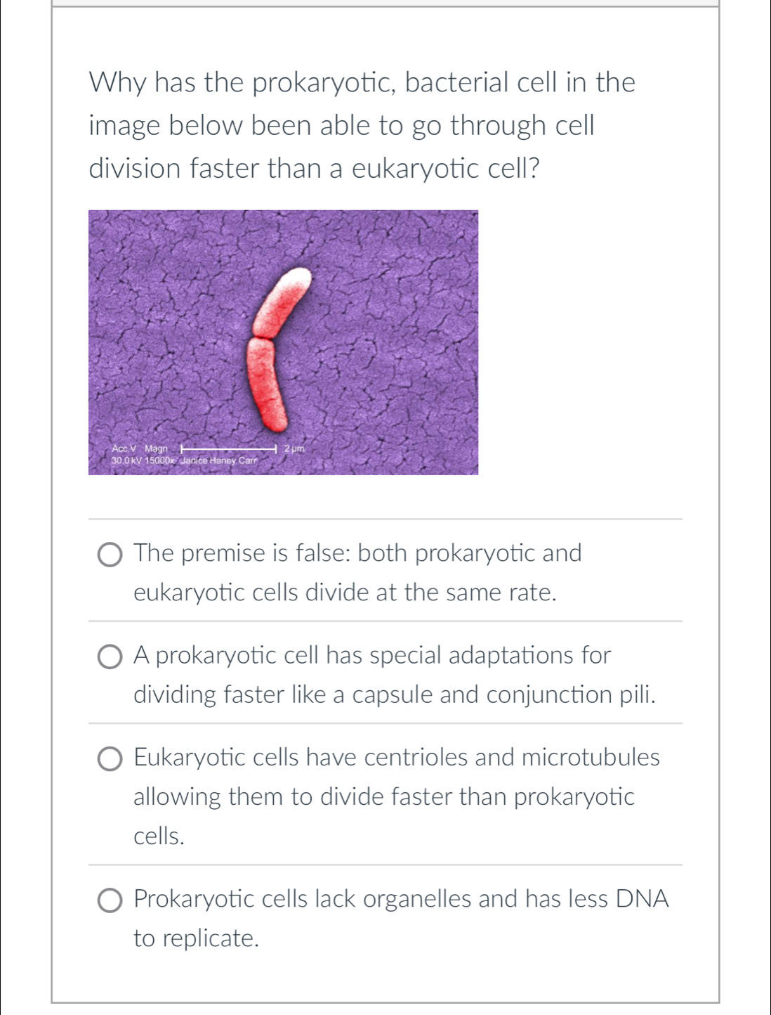 Why has the prokaryotic, bacterial cell in the
image below been able to go through cell
division faster than a eukaryotic cell?
The premise is false: both prokaryotic and
eukaryotic cells divide at the same rate.
A prokaryotic cell has special adaptations for
dividing faster like a capsule and conjunction pili.
Eukaryotic cells have centrioles and microtubules
allowing them to divide faster than prokaryotic
cells.
Prokaryotic cells lack organelles and has less DNA
to replicate.