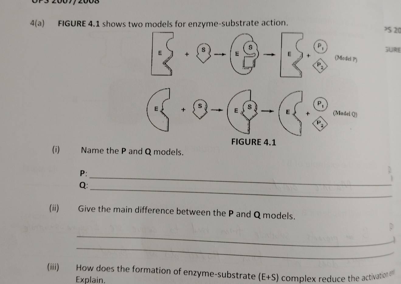 2007/2008 
4(a) FIGURE 4.1 shows two models for enzyme-substrate action. 
>5 20
GURE 
(i) Name the Ps.
P : 
_
Q : 
_ 
(ii) Give the main difference between the P and Q models. 
_ 
_ 
(iii) How does the formation of enzyme-substrate (E+S) complex reduce the activation en 
Explain.