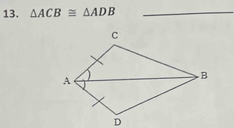 △ ACB≌ △ ADB _