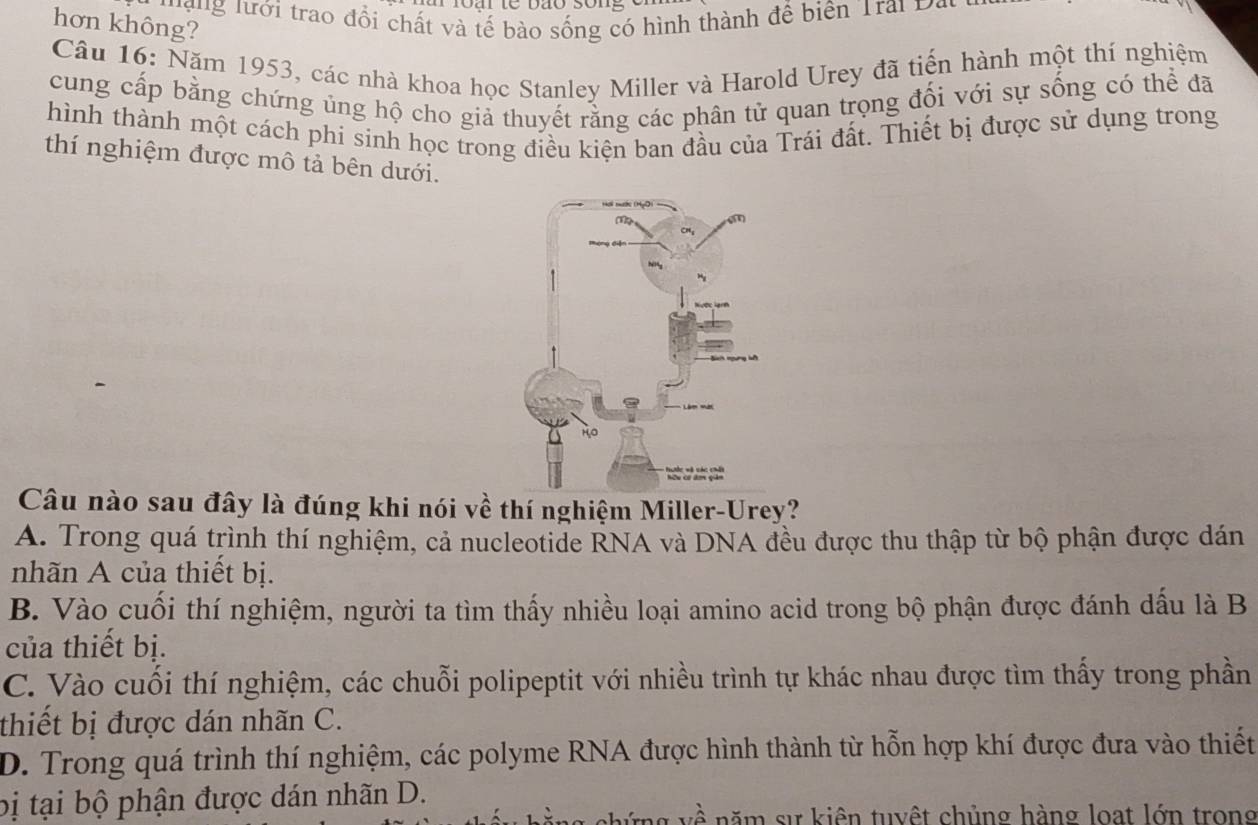 ' gng lưới trao đổi chất và tế bào sống có hình thành để biên Trai Đo
hơn không?
Câu 16: Năm 1953, các nhà khoa học Stanley Miller và Harold Urey đã tiến hành một thí nghiệm
cung cấp bằng chứng ủng hộ cho giả thuyết rằng các phân tử quan trọng đổi với sự sống có thể đã
hình thành một cách phi sinh học trong điều kiện ban đầu của Trái đất. Thiết bị được sử dụng trong
thí nghiệm được mô tả bên dưới.
Câu nào sau đây là đúng khi nói về thí nghiệm Miller-Urey?
A. Trong quá trình thí nghiệm, cả nucleotide RNA và DNA đều được thu thập từ bộ phận được dán
nhãn A của thiết bị.
B. Vào cuối thí nghiệm, người ta tìm thấy nhiều loại amino acid trong bộ phận được đánh dấu là B
của thiết bị.
C. Vào cuối thí nghiệm, các chuỗi polipeptit với nhiều trình tự khác nhau được tìm thấy trong phần
thiết bị được dán nhãn C.
D. Trong quá trình thí nghiệm, các polyme RNA được hình thành từ hỗn hợp khí được đưa vào thiết
bị tại bộ phận được dán nhãn D.
ng về năm sự kiên tuyệt chủng hàng loạt lớn trong