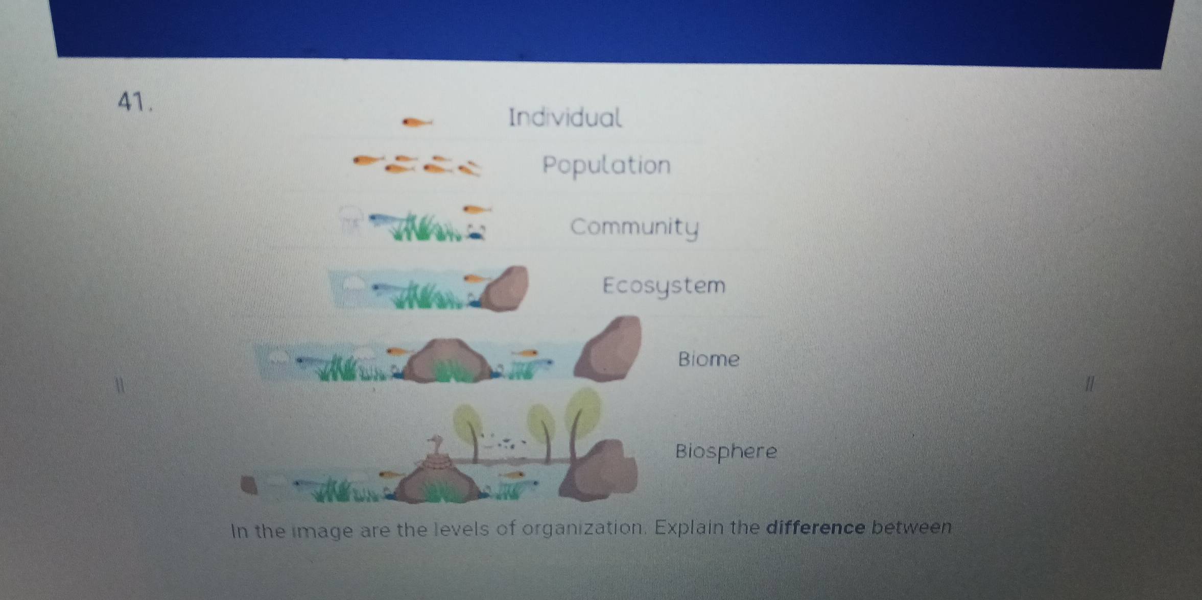 Solved: Individual Population Community Ecosystem Biome Biosphere In ...