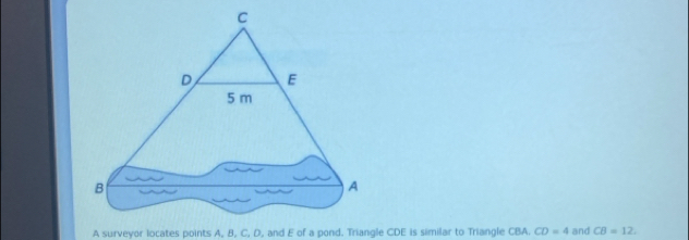 CD=4 and CB=12.