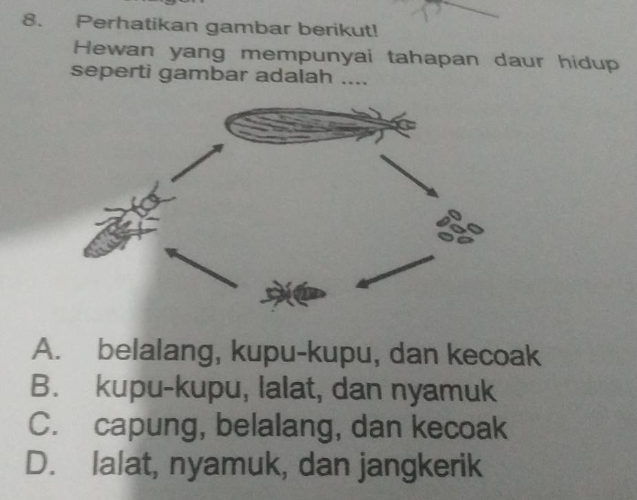 Perhatikan gambar berikut!
Hewan yang mempunyai tahapan daur hidup
seperti gambar adalah ....
A. belalang, kupu-kupu, dan kecoak
B. kupu-kupu, lalat, dan nyamuk
C. capung, belalang, dan kecoak
D. lalat, nyamuk, dan jangkerik