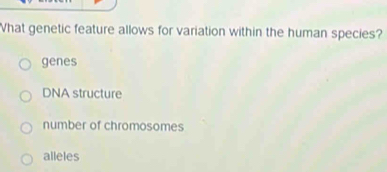 What genetic feature allows for variation within the human species?
genes
DNA structure
number of chromosomes
alleles