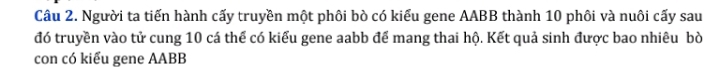 Người ta tiến hành cấy truyền một phôi bò có kiểu gene AABB thành 10 phôi và nuôi cấy sau 
đó truyền vào tử cung 10 cá thể có kiểu gene aabb để mang thai hộ. Kết quả sinh được bao nhiêu bò 
con có kiểu gene AABB