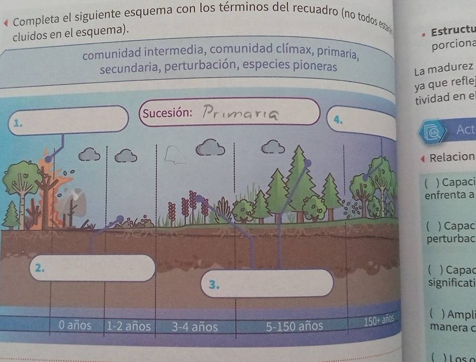 Completa el siguiente esquema con los términos del recuadro (no todos estar 
cluidos en el esquema). 
Estructu 
porciona 
comunidad intermedia, comunidad clímax, primaria, 
secundaria, perturbación, especies pioneras 
La madurez 
ya que refle 
tividad en e 
Sucesión: 
1. 
4. 
Act 
Relacion 
 ) Capaci 
enfrenta a 
 ) Capac 
perturbac 
2. ) Capac 
 
3. significati
0 años 1 -2 años 3 -4 años 5-150 años 150+ años  ) Ampli 
manera c 
 ) Los o