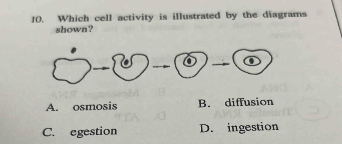 Solved: Which cell activity is illustrated by the diagrams shown? A ...