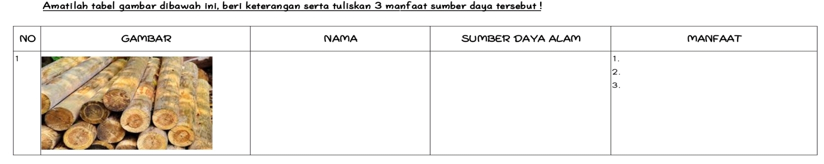 Amatilah tabel gambar dibawah ini, beri keterangan serta tuliskan 3 manfaat sumber daya tersebut !