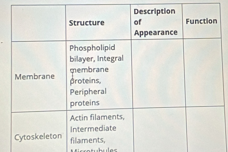 Microtubules