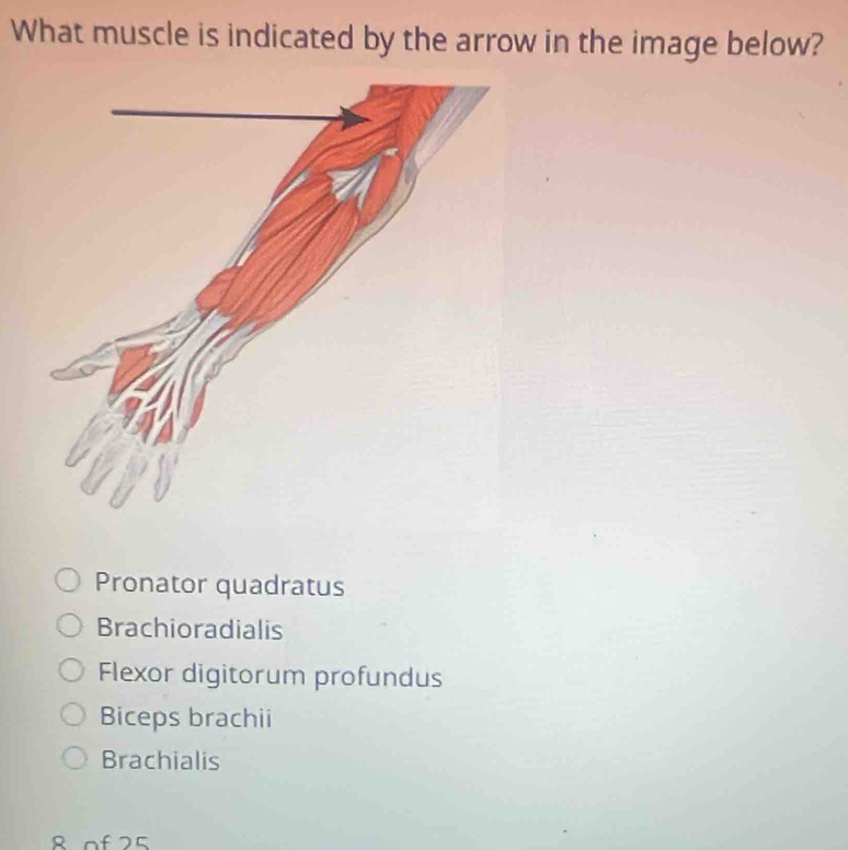 What muscle is indicated by the arrow in the image below?
Pronator quadratus
Brachioradialis
Flexor digitorum profundus
Biceps brachii
Brachialis
8 of 25