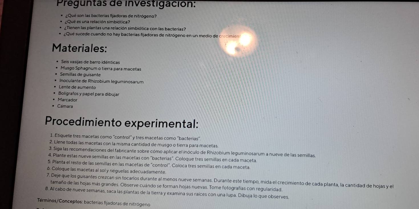 Preguntas de investigación: 
¿Qué son las bacterias fijadoras de nitrógeno? 
¿Que es una relación simbiótica? 
¿Tienen las plantas una relación simbiótica con las bacterias? 
¿Qué sucede cuando no hay bacterias fijadoras de nitrógeno en un medio de crecimient 
Materiales: 
Seis vasijas de barro idénticas 
Musgo Sphagnum o tierra para macetas 
Semillas de guisante 
Inoculante de Rhizobium leguminosarum 
Lente de aumento 
Bolígrafos y papel para dibujar 
Marcador 
Cámara 
Procedimiento experimental: 
1. Etiquete tres macetas como “control” y tres macetas como “bacterias”. 
2. Llene todas las macetas con la misma cantidad de musgo o tierra para macetas. 
3. Siga las recomendaciones del fabricante sobre cómo aplicar el inóculo de Rhizobium leguminosarum a nueve de las semillas 
4. Plante estas nueve semillas en las macetas con “bacterias”. Coloque tres semillas en cada maceta. 
5. Planta el resto de las semillas en las macetas de “control”. Coloca tres semillas en cada maceta. 
6. Coloque las macetas al sol y riéguelas adecuadamente. 
7. Deje que los guisantes crezcan sin tocarlos durante al menos nueve semanas. Durante este tiempo, mida el crecimiento de cada planta, la cantidad de hojas y el 
tamaño de las hojas más grandes. Observe cuándo se forman hojas nuevas. Tome fotografías con regularidad. 
8. Al cabo de nueve semanas, saca las plantas de la tierra y examina sus raíces con una lupa. Dibuja lo que observes. 
Términos/Conceptos: bacterias fijadoras de nitrógeno