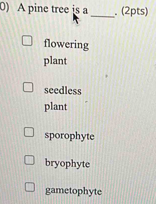 A pine tree is a _. (2pts)
flowering
plant
seedless
plant
sporophyte
bryophyte
gametophyte