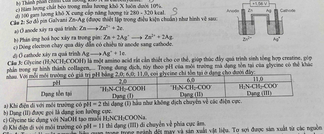 Thành phân chính của lướng
c) Hàm lượng chất béo trong mẫu lương khô X luôn dưới 10%. 
d) 100 gam lương khô X cung cấp năng lượng từ 280-320k cal. 
Cầu 2: Sơ đồ pin Galvani Zn-Ag (được thiết lập trong điều kiện chuẩn) như hình vẽ sau:
a) Ở anode xảy ra quá trình: Znto Zn^(2+)+2e.
b) Phản ứng hoá học xảy ra trong pin: Zn+2Ag^+to Zn^(2+)+2Ag.
c) Dòng electron chạy qua dây dẫn có chiều từ anode sang cathode.
d) Ở cathode xảy ra quá trình Agto Ag^++1e.
Câu 3: Glycine (H_2NCH_2COOH) là một amino acid rất cần thiết cho cơ thể, giúp thúc đầy quá trình sinh tổng hợp creatine, góp
phần trong sự hình thành collagen,... Trong dung dịch, tùy theo pH của môi trường mả dạng tồn tại của glycine có thể khác
ng có giá trị pH bằng 2,0; 6,0; 11,0, coi glycine chỉ tồn tại ở dạng cho dưới đây:
a) Khi điện di với môi trường có pH=2 thì dạng (I) hầu như không dịch chu
b) Dạng (II) được gọi là dạng ion lưỡng cực.
c) Glycine tác dụng với NaOH tạo muối H_2NCH_2COONa.
d) Khi điện di với môi trường có pH=11 thì dạng (III) di chuyền về phía cực âm.
liểu quan trong trong ngành dệt may và sản xuất vật liệu. Tơ sợi được sản xuất từ các nguồn