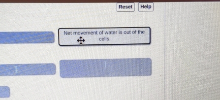 Reset Help 
Net movement of water is out of the 
cells.