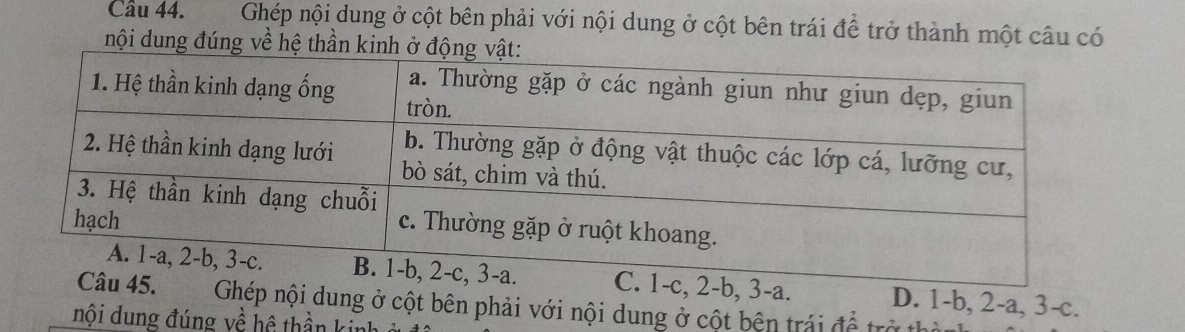 Ghép nội dung ở cột bên phải với nội dung ở cột bên trái để trở thành một câu có
nội dung đúng về hệ thần kinh ở độ
2-b, 3 -a. D. 1 -b, 2-a, 3-c.
Ghép nội dung ở cột bên phải với nội dung ở cột bên trái để trở
nội dung đúng về hệ thần ki