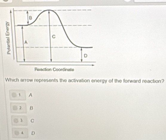 Solved: Which arrow represents the activation energy of the forward ...