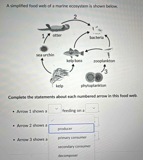 Solved: A simplified food web of a marine ecosystem is shown below ...