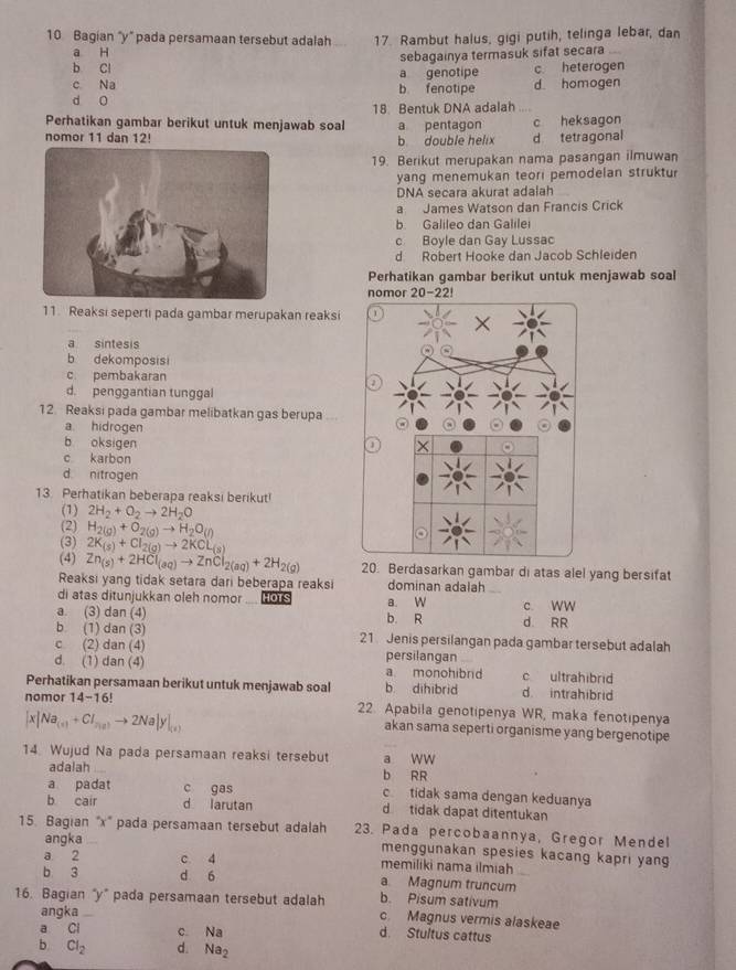 Bagian "y" pada persamaan tersebut adalah _17. Rambut halus, gigi putih, telinga lebar, dan
a H
sebagainya termasuk sifat secara
b Cl a genotipe c heterogen
c Na b fenotipe
d o d homogen
Perhatikan gambar berikut untuk menjawab soal 18. Bentuk DNA adalah a pentagon c heksagon
nomor 11 dan 12! b double helix d tetragonal
19. Berikut merupakan nama pasangan ilmuwan
yang menemukan teori pemodelan struktur
DNA secara akurat adalah
a James Watson dan Francis Crick
b. Galileo dan Galilei
c Boyle dan Gay Lussac
d Robert Hooke dan Jacob Schleiden
Perhatikan gambar berikut untuk menjawab soal
nomor 20-22!
11. Reaksi seperti pada gambar merupakan reaksi
a sintesis
b dekomposisi
c pembakaran
1
d. penggantian tunggal
12. Reaksi pada gambar melibatkan gas berupa
a. hidrogen
b oksigen
1
c karbon
d nitrogen
13. Perhatikan beberapa reaksi berikut!
(1) 2H_2+O_2to 2H_2O
(2) H_2(g)+O_2(g)to H_2O_(l)
(3) 2K_(s)+Cl_2(g)to 2KCL_(8)
(4) Zn_(s)+2HCl_(aq)to ZnCl_2(aq)+2H_2(g) 20. Berdasarkan gambar di atas alel yang bersifat
Reaksi yang tidak setara dari beberapa reaksi dominan adalah
di atas ditunjukkan oleh nomor HOTS a. W
a. (3) dan (4) b. R d. RR c. WW
b (1) dan (3) 21 Jenis persilangan pada gambar tersebut adalah
c (2) dan (4) persilangan
d. (1) dan (4) a monohibrd c ultrahibrid
Perhatikan persamaan berikut untuk menjawab soal b dihibrid d. intrahibrid
nomor 14-16! 22. Apabila genotipenya WR, maka fenotipenya
[x]Na_(a)+CI_(a)to 2Na|y|_(a)
akan sama seperti organisme yang bergenotipe
14. Wujud Na pada persamaan reaksi tersebut a ww
adalah b RR
a padat c gas c tidak sama dengan keduanya
b cair d larutan d tidak dapat ditentukan
15. Bagian "x' pada persamaan tersebut adalah 23. Pada percobaannya, Gregor Mendel
angka
menggunakan spesies kacang kapri yang
a 2 c 4 memiliki nama ilmiah
b 3 d 6 a Magnum truncum
b. Pisum sativum
16. Bagian "y" pada persamaan tersebut adalah c. Magnus vermis alaskeae
angka
a Cl c Na
d Stultus cattus
b Cl_2 d. Na_2