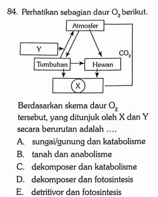 Perhatikan sebagian daur O_2 berikut.
Berdasarkan skema daur O_2
tersebut, yang ditunjuk oleh X dan Y
secara berurutan adalah ...
A. sungai/gunung dan katabolisme
B. tanah dan anabolisme
C. dekomposer dan katabolisme
D. dekomposer dan fotosintesis
E. detritivor dan fotosintesis