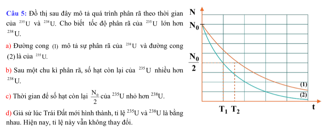 Đồ thị sau đây mô tả quá trình phân rã theo thời gian
của 233 U và ^238U T. Cho biết tốc độ phân rã của^(235)U lớn hơn^(238)U.
a) Đường cong (1) mô tả sự phân rã của^(238)U và đường cong
(2) là của^(235)U.
b) Sau một chu kì phân rã, số hạt còn lại của^(235)U nhiều hơn^(238)U.
c) Thời gian để số hạt còn lại frac N_02cia^(235)U nhỏ hon^(238)U.
d) Giả sử lúc Trái Đất mới hình thành, tỉ lhat e^(235)Uvdot a^(238)U là bằng
nhau. Hiện nay, tỉ lệ này vẫn không thay đồi.