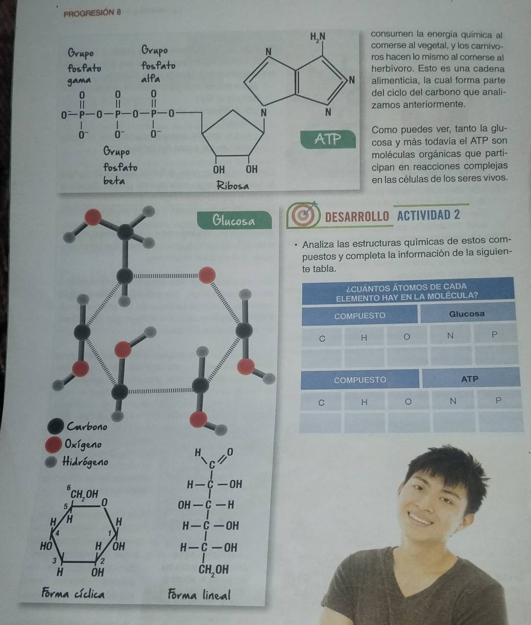 PROGRESIÓN 8
onsumen la energia química al
omerse al vegetal, y los carnivo-
os hacen lo mismo al comerse al
erbívoro. Esto es una cadena
limenticia, la cual forma parte
el ciclo del carbono que anali-
amos anteriormente.
omo puedes ver, tanto la glu-
osa y más todavía el ATP son
oléculas orgánicas que parti-
ipan en reacciones complejas
n las células de los seres vivos.
Glucosa DESARROLLO ACTIVIDAD 2
Analiza las estructuras químicas de estos com-
puestos y completa la información de la siguien-
te tabla.
ácuántOS ÁtomoS DE CADA
ELEMENTO HAY EN LA MOLÉCULA?
COMPUESTO Glucosa
C H
N P
COMPUESTO ATP
C H
N P
Carbono
Oxígeno
H 0
Hidrógeno C
H-C-OH
OH-C-H
H-C-OH
H-C-OH
CH_2OH
Forma cíclica Forma lineal